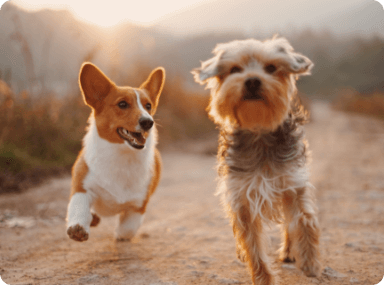 Help Save Poor Children In Bangladesh